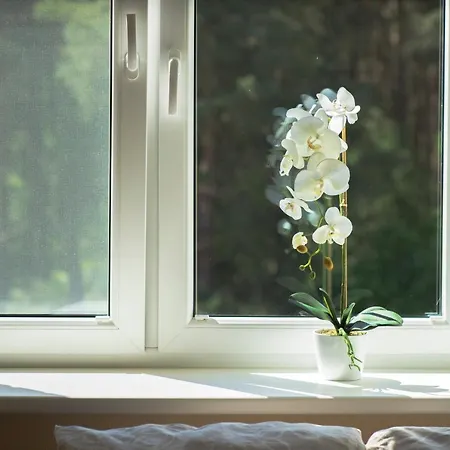 Comfort 3-room With Forest View & 2 Bedrooms * Jurmala